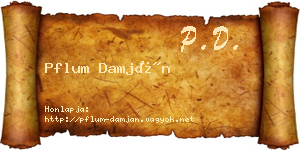 Pflum Damján névjegykártya